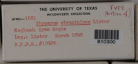 Image Associated With the Occurrence